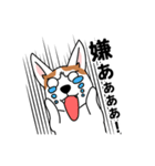 コーギーマハロの毎日（個別スタンプ：35）