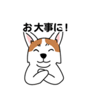 コーギーマハロの毎日（個別スタンプ：37）