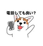 コーギーマハロの毎日（個別スタンプ：39）