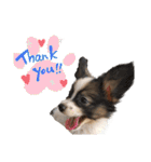 Puppyおうくん（個別スタンプ：9）