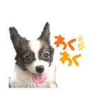 Puppyおうくん（個別スタンプ：13）