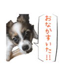 Puppyおうくん（個別スタンプ：23）