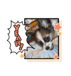 Puppyおうくん（個別スタンプ：30）