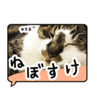 ルパンスタンプ吹き出し（個別スタンプ：2）