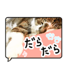 ルパンスタンプ吹き出し（個別スタンプ：3）