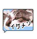 ルパンスタンプ吹き出し（個別スタンプ：4）