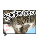 ルパンスタンプ吹き出し（個別スタンプ：8）