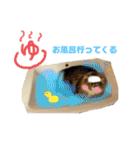 アルフとラッキーの日常スタンプ（個別スタンプ：21）