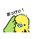 おじいちゃんインコのぼく（個別スタンプ：3）