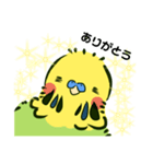 おじいちゃんインコのぼく（個別スタンプ：6）