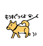 有名じゃない柴犬「まる」のスタンプ（個別スタンプ：14）