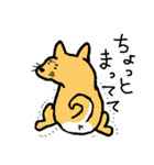 有名じゃない柴犬「まる」のスタンプ（個別スタンプ：16）