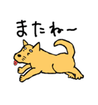 有名じゃない柴犬「まる」のスタンプ（個別スタンプ：20）