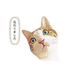 りあるねこ 〜敬語編〜（個別スタンプ：12）