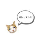 りあるねこ 〜敬語編〜（個別スタンプ：13）