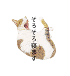 りあるねこ 〜敬語編〜（個別スタンプ：39）