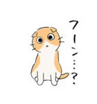 しかるねこ23（個別スタンプ：31）