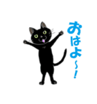 二足歩行黒猫オレオくんキャラ化（個別スタンプ：1）