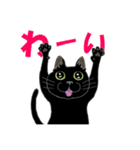 二足歩行黒猫オレオくんキャラ化（個別スタンプ：12）