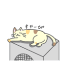 きょりにゃん（個別スタンプ：7）