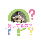 キムハウスのフクロモモンガの日常（個別スタンプ：10）