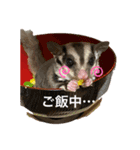 キムハウスのフクロモモンガの日常（個別スタンプ：11）