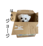 のんあこ3（個別スタンプ：2）