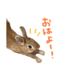 むぎスタンプ☺︎（個別スタンプ：1）