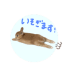 むぎスタンプ☺︎（個別スタンプ：24）