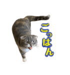 めんみ＆さらみ Ⅲ（個別スタンプ：14）