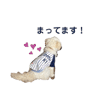 Ciel's stamp★（個別スタンプ：17）