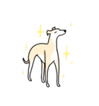 Whippet！ ウィペット（個別スタンプ：29）