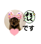 ふくとはなのスタンプ（個別スタンプ：2）
