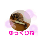 ふくとはなのスタンプ（個別スタンプ：3）