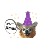 くぅとねねクリスマススタンプ（個別スタンプ：2）