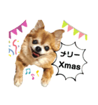 くぅとねねクリスマススタンプ（個別スタンプ：3）