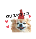 くぅとねねクリスマススタンプ（個別スタンプ：4）