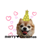 くぅとねねクリスマススタンプ（個別スタンプ：6）