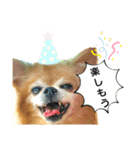 くぅとねねクリスマススタンプ（個別スタンプ：11）