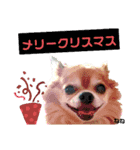 くぅとねねクリスマススタンプ（個別スタンプ：12）