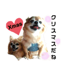 くぅとねねクリスマススタンプ（個別スタンプ：13）