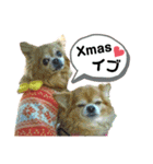 くぅとねねクリスマススタンプ（個別スタンプ：14）