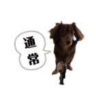 がんばるちむちむ（個別スタンプ：17）