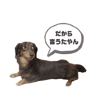 がんばるちむちむ（個別スタンプ：32）