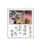 乃慧瑠（個別スタンプ：6）