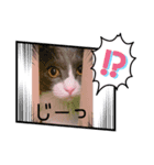 うめちゃんスタイルに〰（個別スタンプ：2）