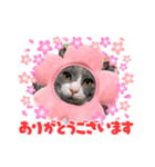 うめちゃんスタイルに〰（個別スタンプ：3）
