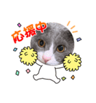 うめちゃんスタイルに〰（個別スタンプ：7）