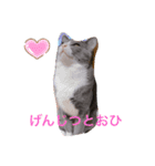 うめちゃんスタイルに〰（個別スタンプ：8）