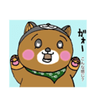 くまだっていぬの着ぐるみ着たいのシリーズ（個別スタンプ：7）